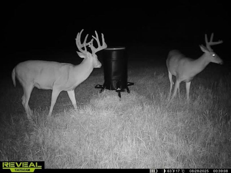 865509050128614-50-4-08282025003918-W1020704