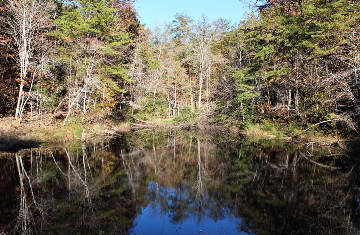 002 small pond near the west entrance