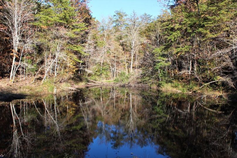 002 small pond near the west entrance