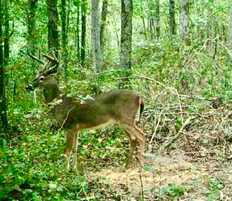 Screenshot_20200923-170136