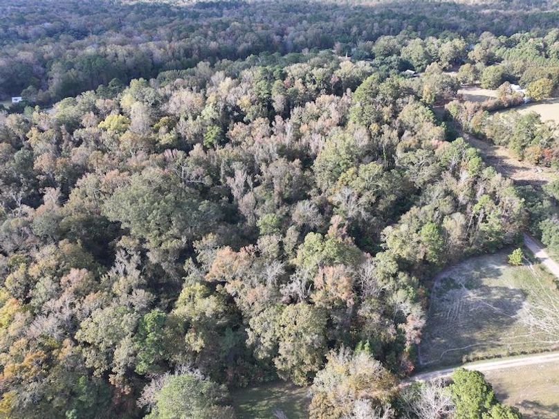 dji_fly_20251118_151402_0743_1763560714026_photo