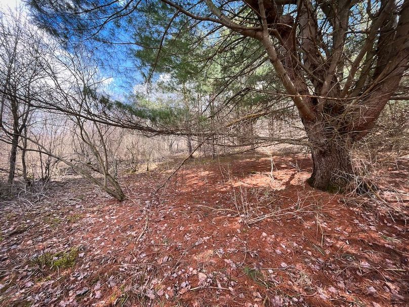 Tioga__NY_109.7_Burris_Photos_61