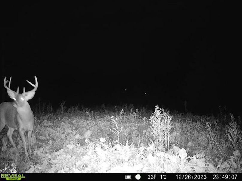 868032067149447-80-4-12262023234906-V-W1000009