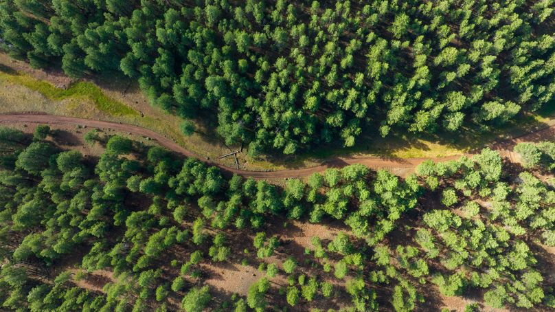 Cibola NM 13,053-0445