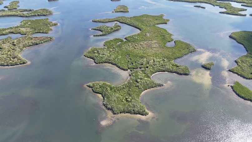 17.17ac, Citrus, Josiah Ronco10