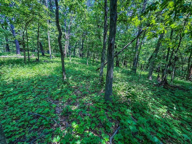 Houston 134.41 Updated Oct-33