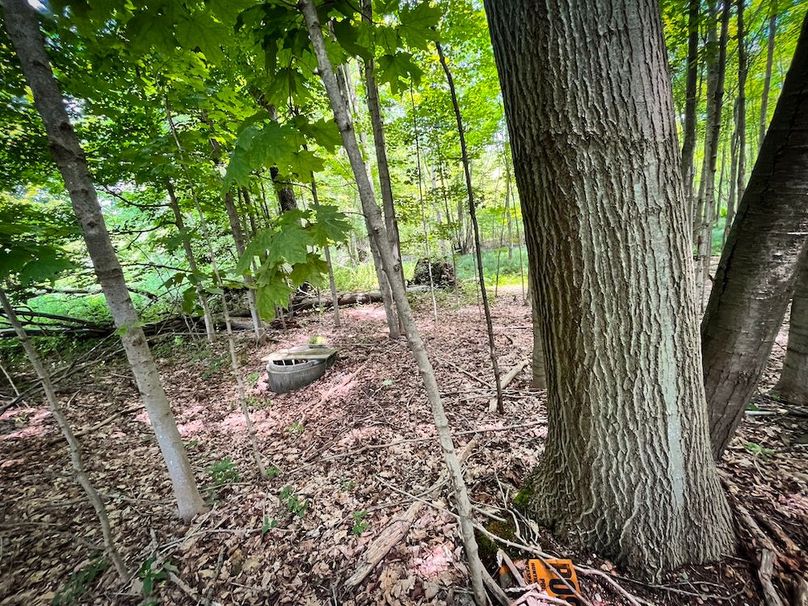 Oswego_21.25-Paro_Photos_39