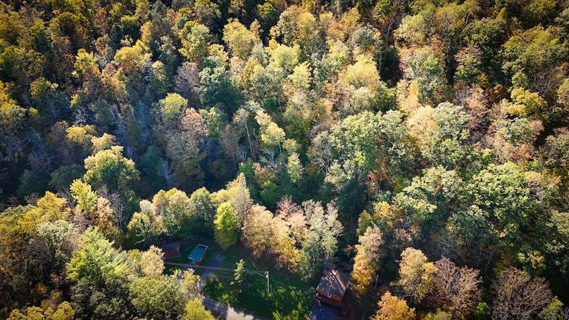 Tompkins NY 87 Allen Photos 34