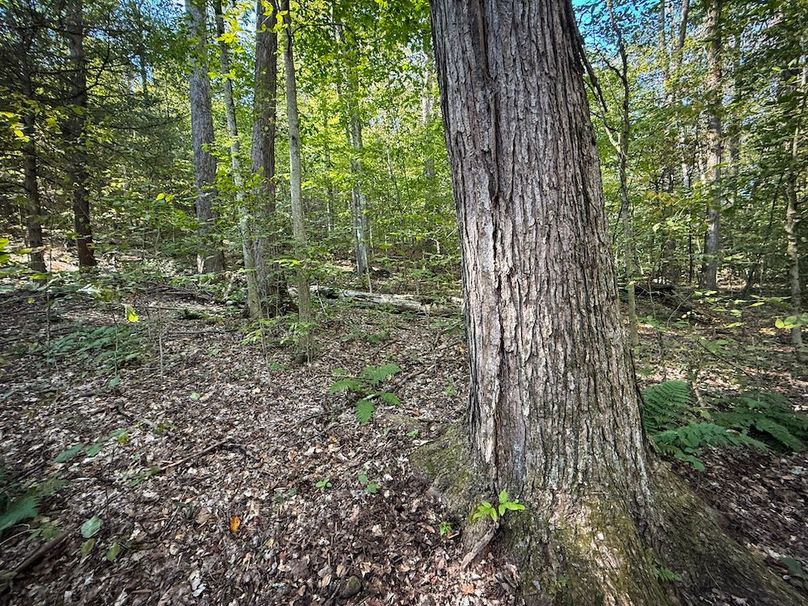 Tompkins NY 87 Allen Photos 45