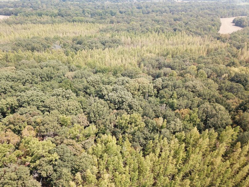 DJI_0761