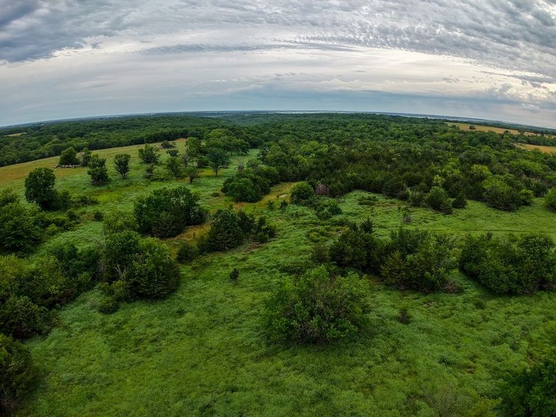 DJI_20250630065514_0274_D