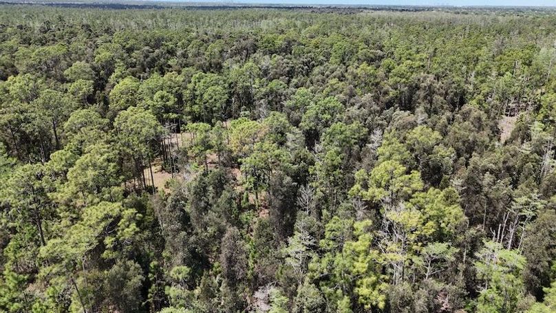 DJI_20260403130034_0470_D