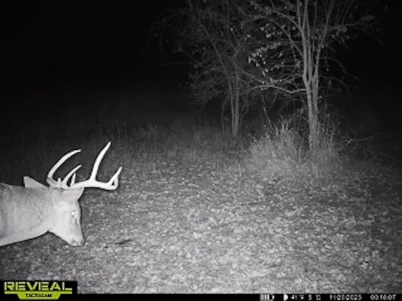 865509050418056-50-4-11202023001833-W1003374