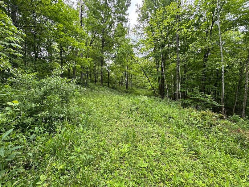 Pleasants, WV 168.59 AC Superior, Swank, Young-081