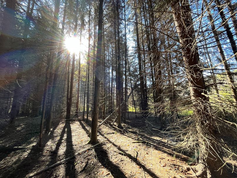 Schuyler_25.155_Ennis_Photos_16