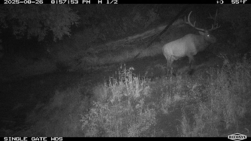 B516A7C5-83CD-4A9F-811A-1B59D7A2D8F9