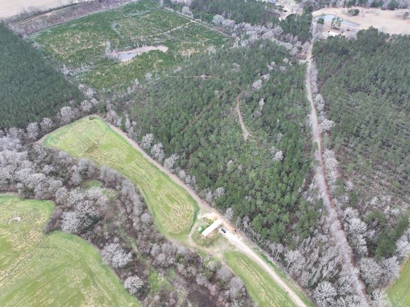 dji_fly_20260217_132142_0101_1771436915590_photo