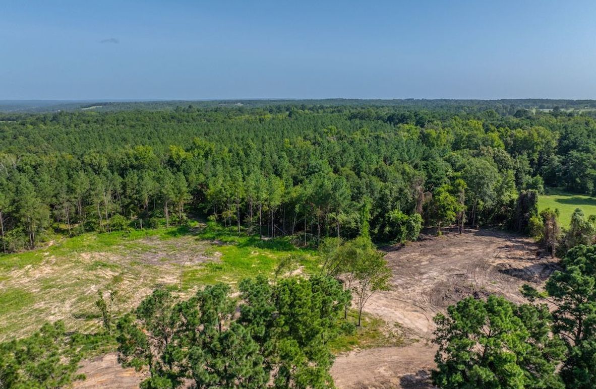 A1cDJI_20240717050634_0211_D-HDR