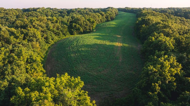 DJI_0043-HDR-2
