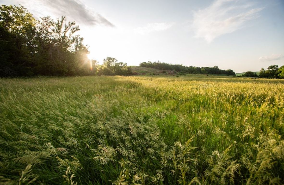 MONONA CO IA 119.43_1