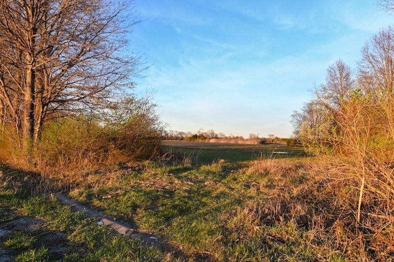 vandalia 450 (2)-2295