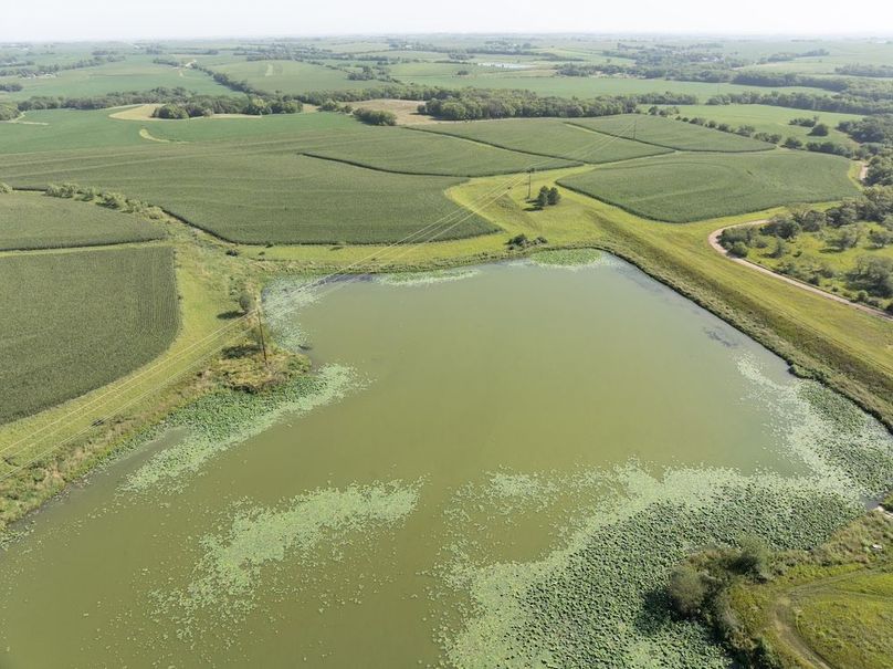 DJI_20250729095051_0019_D