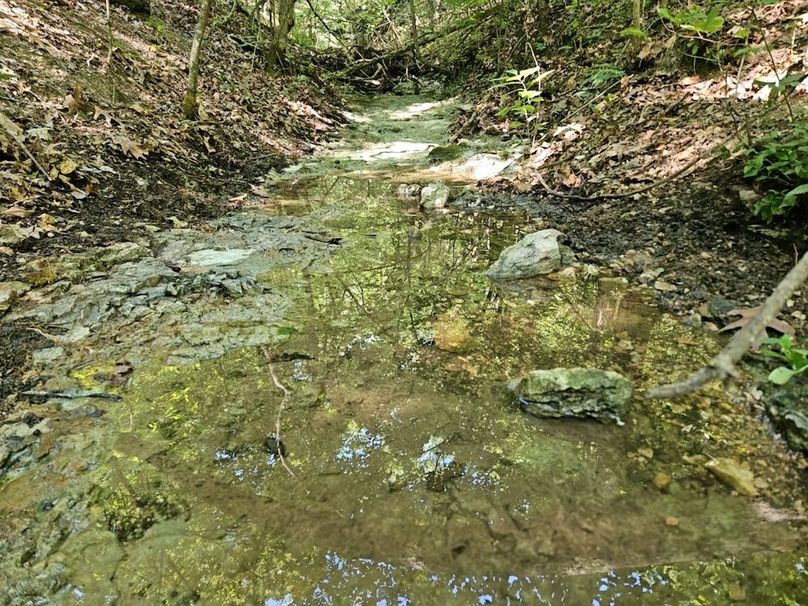 DJI_20240808_104800_157