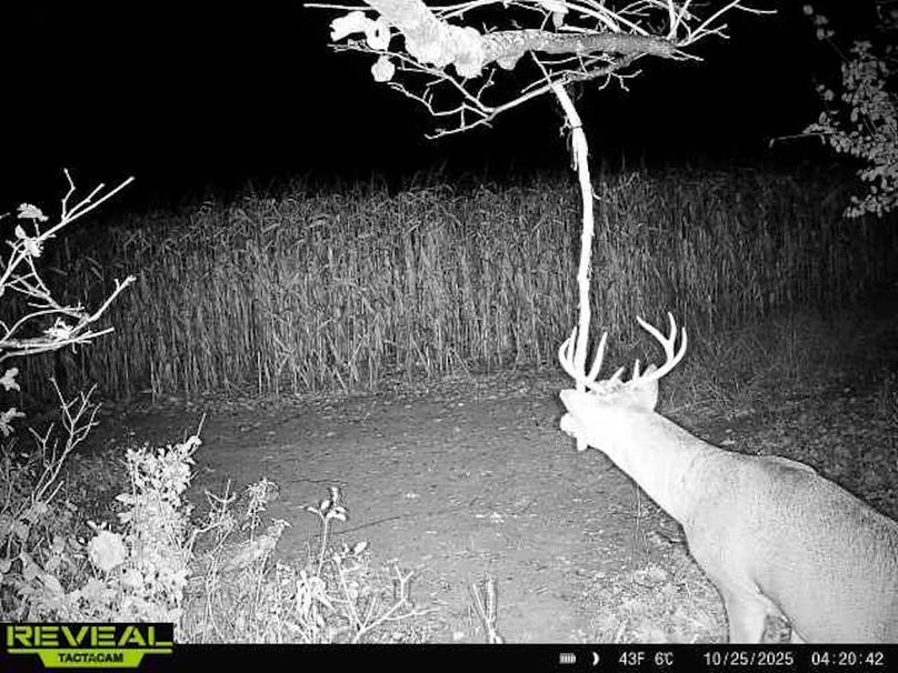 865814043293958-100-3-10252025042042-W1002437