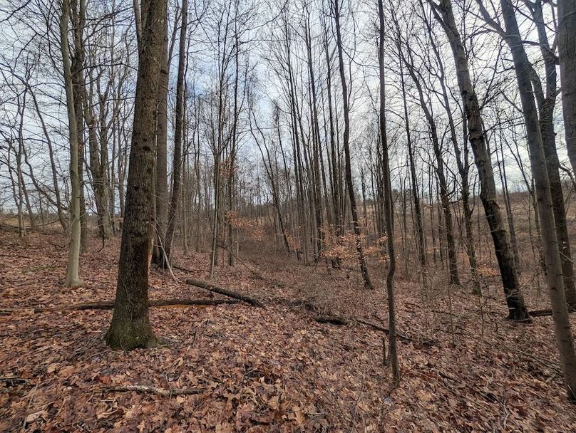 PXL_20260107_181740118.MP