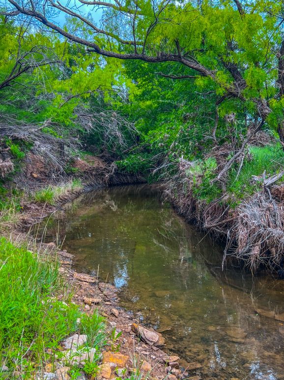 Brazos River Bottom Hunting Paradise Whitetail Properties