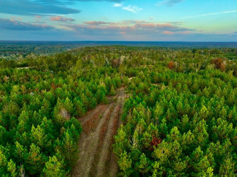 4DD41A51-F9EE-4B84-913C-E6CF6E12FCDE_1_105_c