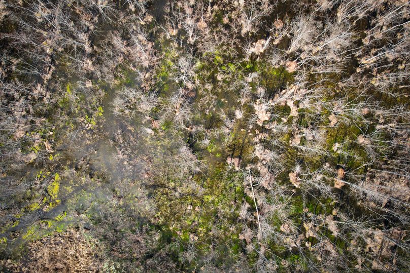 Oswego_165.52_Lashomb_Photos_16