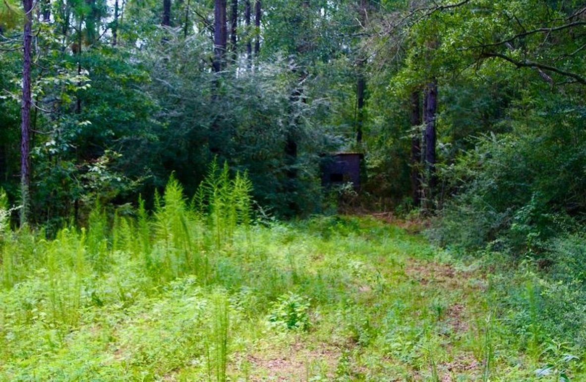 5C7A4C28-9ECA-4C4C-ACDE-8666DFCB1C60_1_105_c