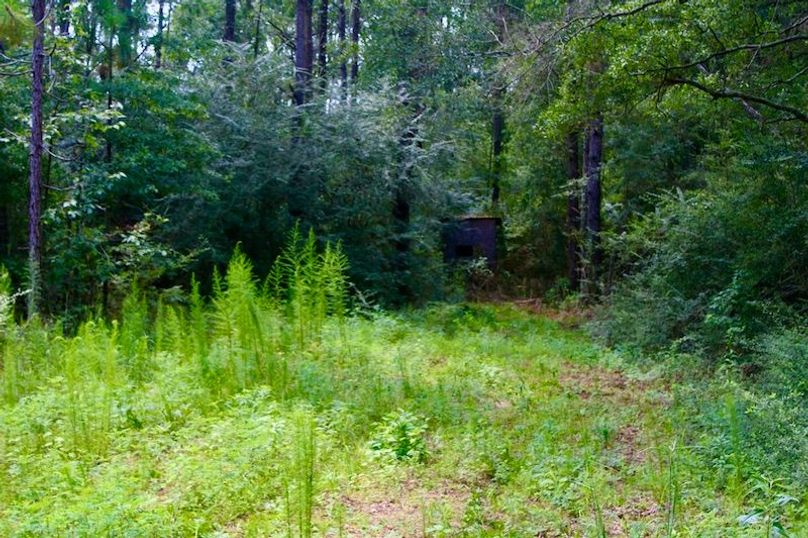 5C7A4C28-9ECA-4C4C-ACDE-8666DFCB1C60_1_105_c