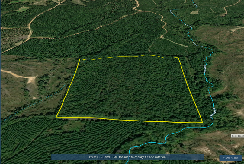 Screen Shot 2023-02-03 at 10.33.15 PM