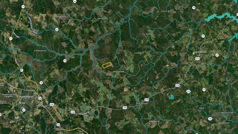 Wilkes county 135 acres map2