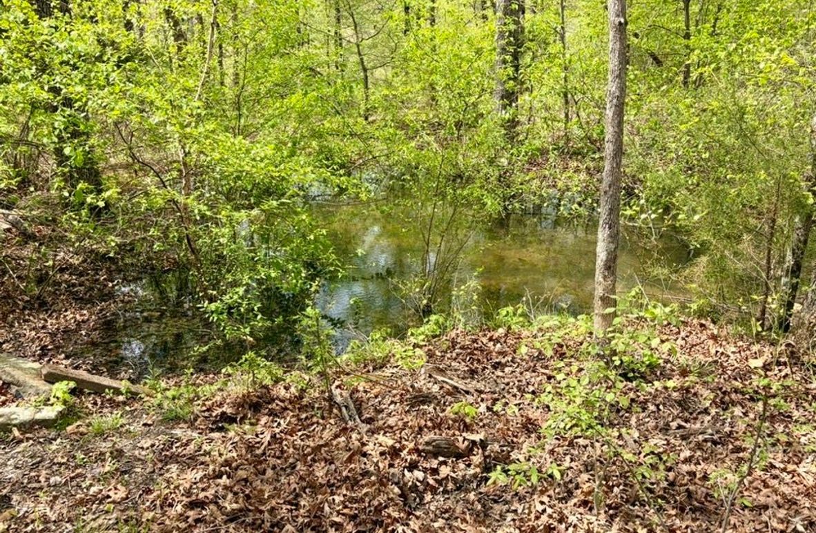 1C912424-3824-4E6D-828B-AD70D02EA533_1_105_c-2