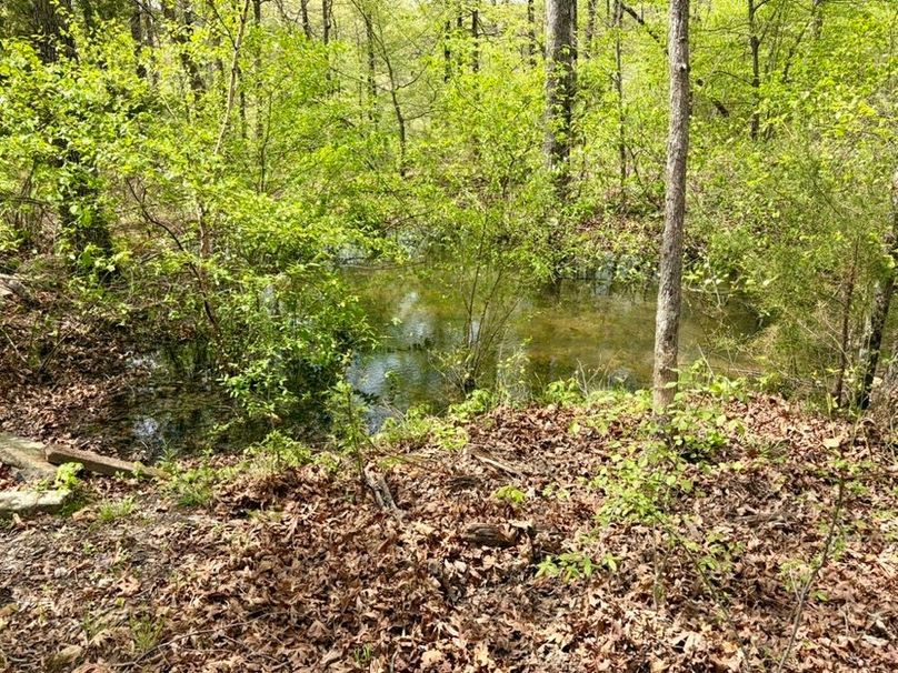 1C912424-3824-4E6D-828B-AD70D02EA533_1_105_c-2