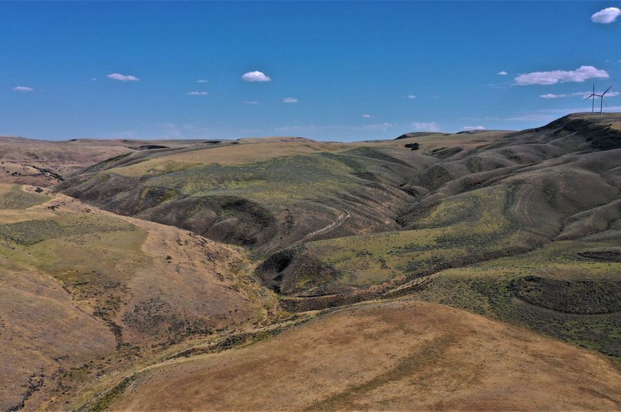 DJI_0996 (2)