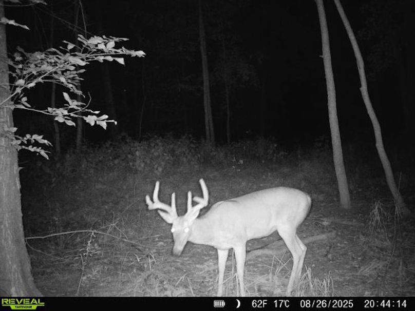 860516068101389-100-2-08262025204414-V-W1001419