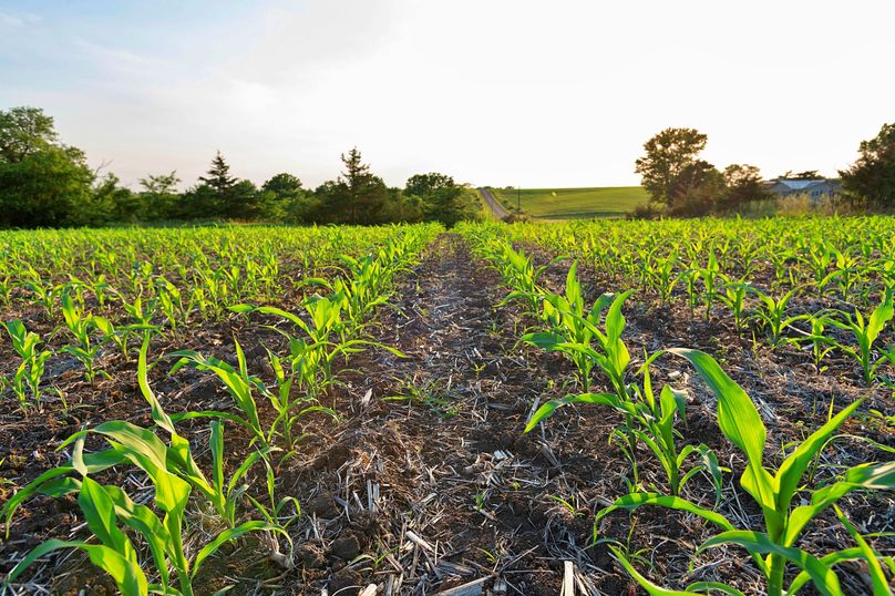 Harrison MO 480 Pro Photo_177 (18)