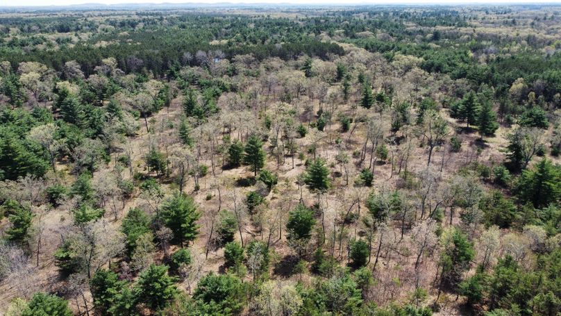 dji_fly_20230511_114746_458_1683838264277_photo_optimized