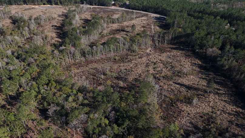 DJI_20231217143350_0020_D