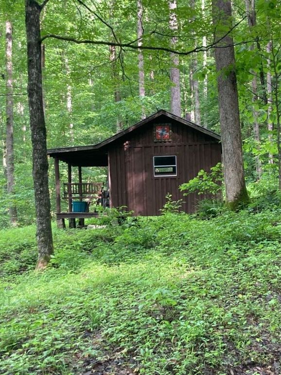 089 another view of the small cabin in the woods