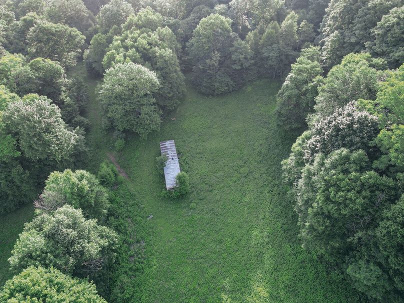 dji_fly_20240617_072122_761_1718623322327_photo 2