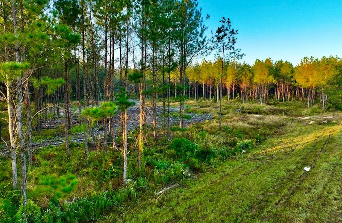 3C956A44-788A-4FF8-9B5C-9F274CBD91BC_1_105_c