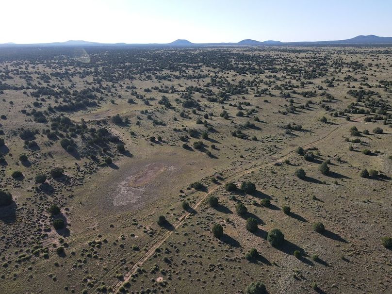 dji_fly_20240816_080924_524_1723817481016_photo