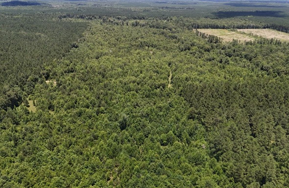 Copy of DJI_20250624022855_0633_D