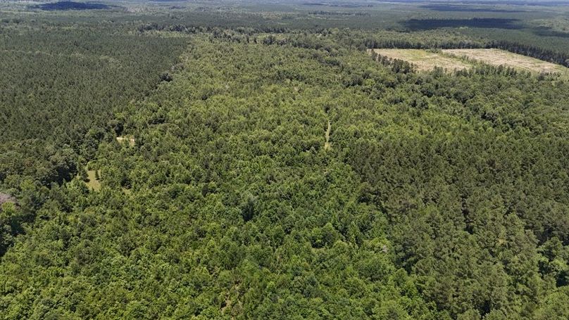Copy of DJI_20250624022855_0633_D