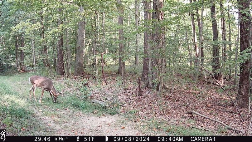 Trail Cam.5